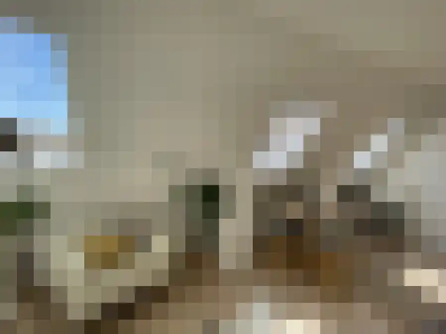 Achterstraat 2 Lochem thumbnail 4