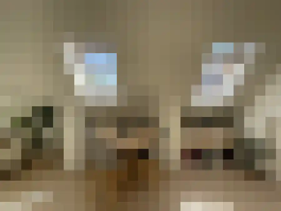 Achterstraat 2 Lochem thumbnail 5