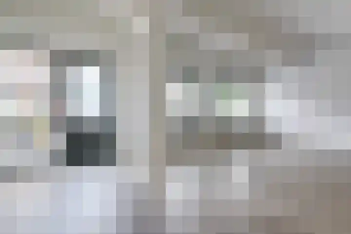 Achterstraat 2 Putten thumbnail 5