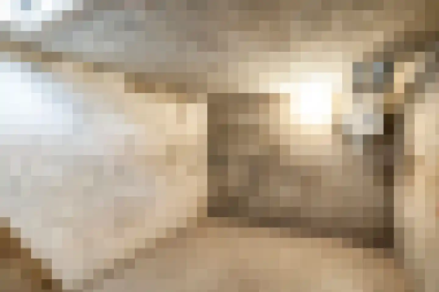 Achterstraat 2 Woerden thumbnail 18
