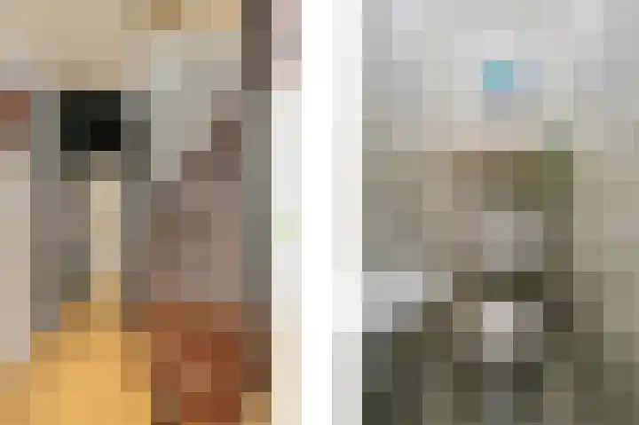 Achterstraat 20 Lekkerkerk thumbnail 11