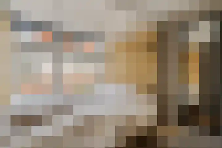 Achterstraat 20 Lekkerkerk thumbnail 14