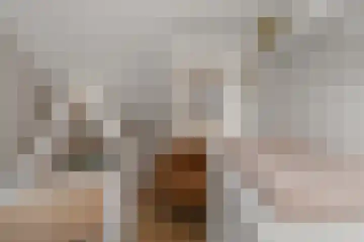 Achterstraat 20 Lekkerkerk thumbnail 17