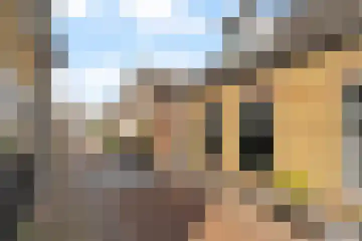 Achterstraat 20 Lekkerkerk thumbnail 24