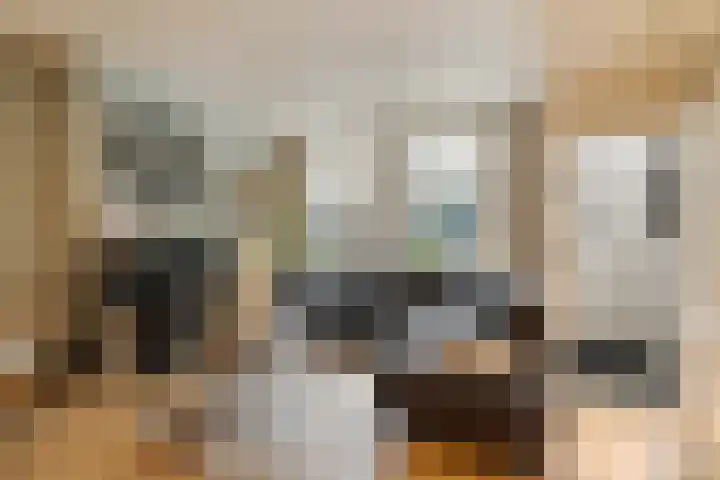 Achterstraat 20 Lekkerkerk thumbnail 9