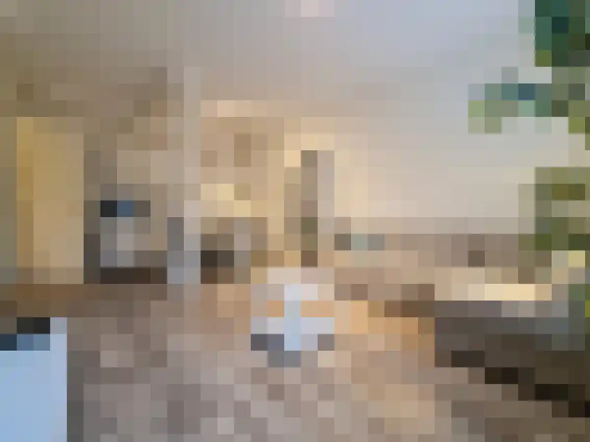 Achterstraat 20 Lochem thumbnail 4