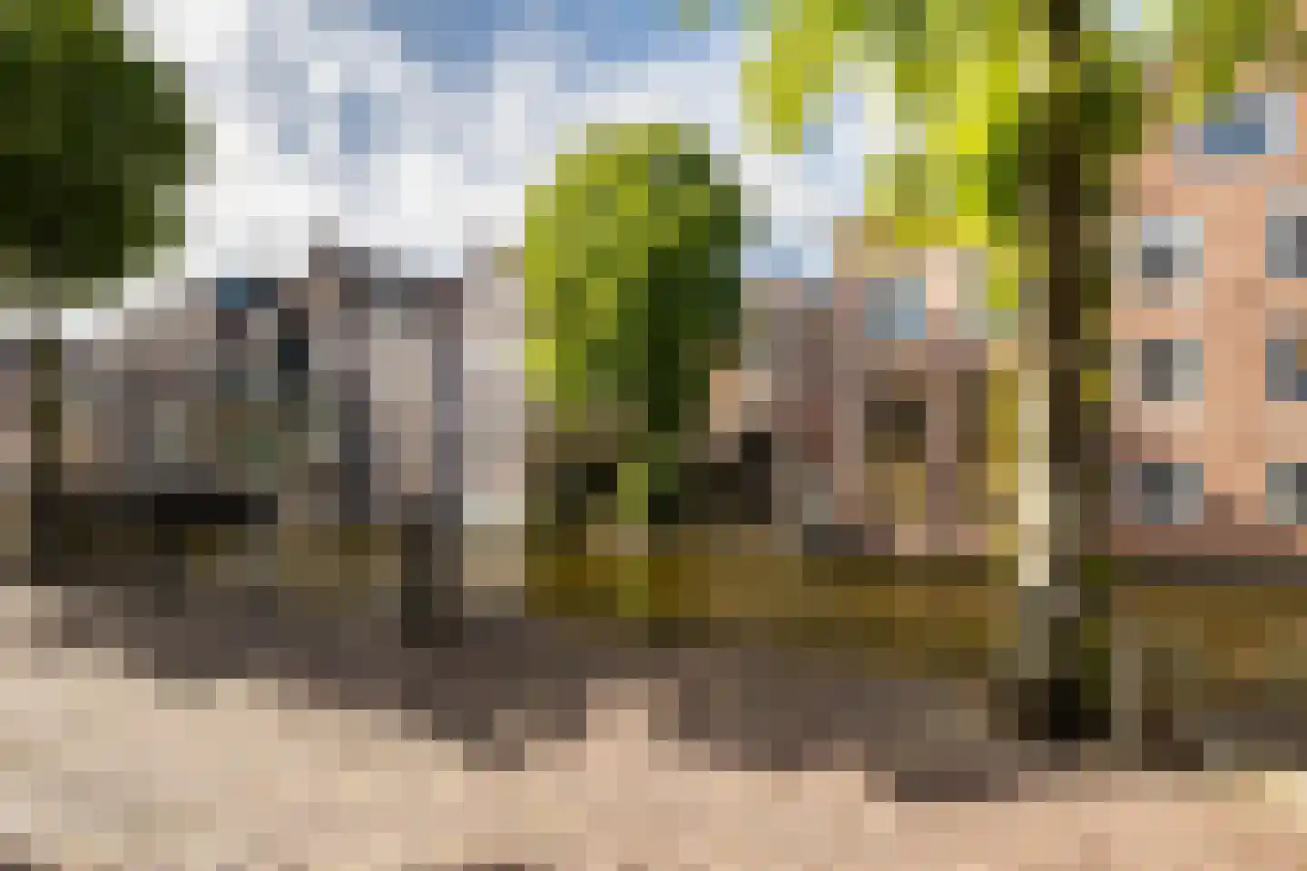 Achterstraat 21 C Alkmaar thumbnail 23