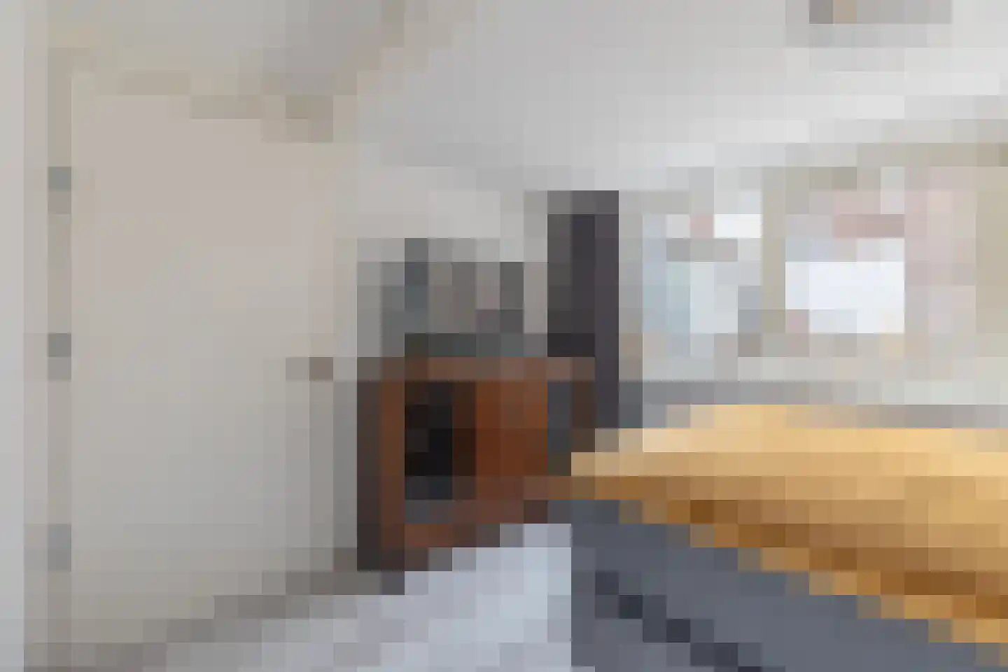 Achterstraat 21 C Alkmaar thumbnail 4