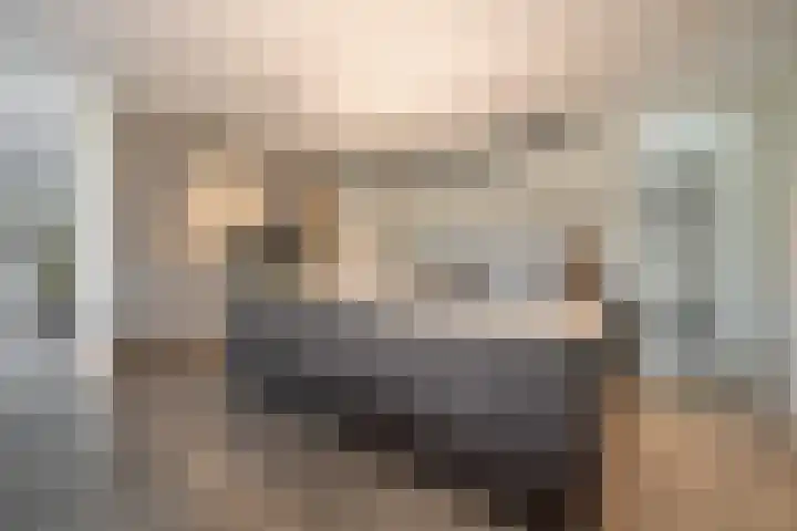 Achterstraat 21 Cromvoirt thumbnail 12