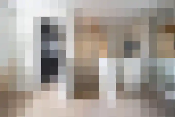 Achterstraat 21 Cromvoirt thumbnail 23