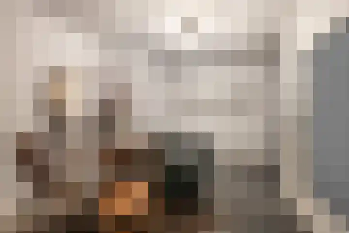 Achterstraat 21 Cromvoirt thumbnail 30