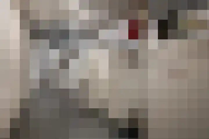 Achterstraat 21 Cromvoirt thumbnail 31