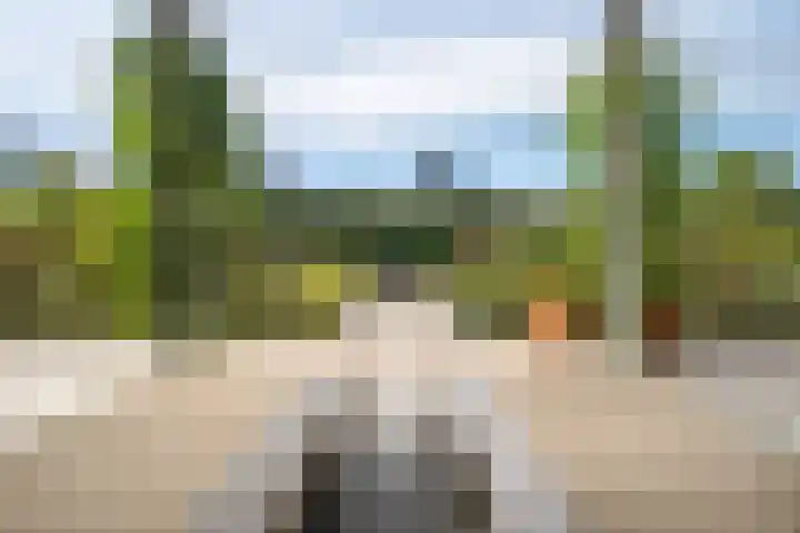 Achterstraat 21 Cromvoirt thumbnail 34