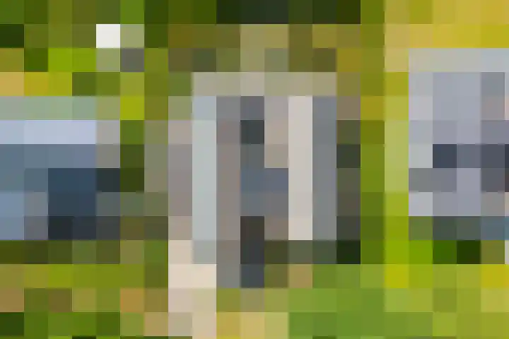 Achterstraat 21 Cromvoirt thumbnail 35