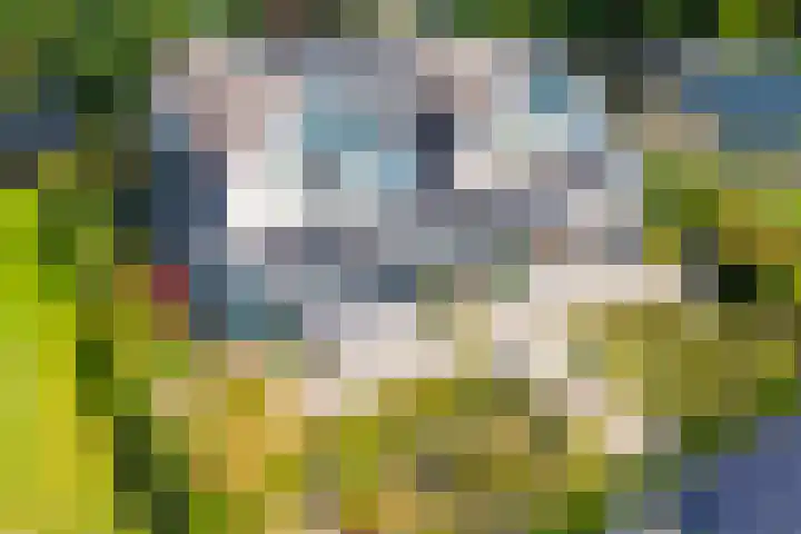 Achterstraat 21 Cromvoirt thumbnail 36