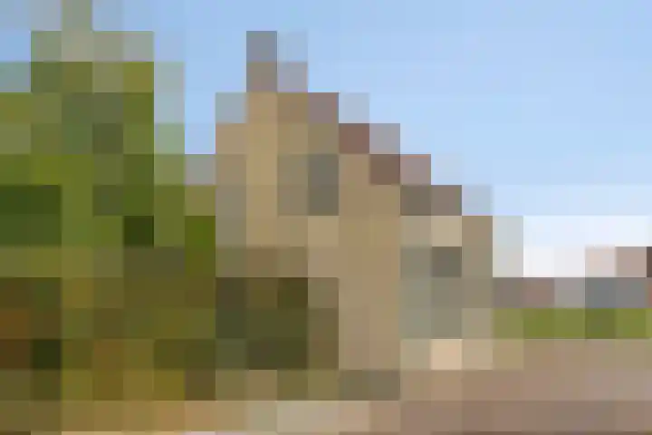 Achterstraat 21 Lamswaarde thumbnail 33