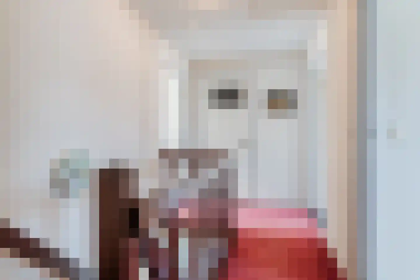 Achterstraat 21 Nistelrode thumbnail 26