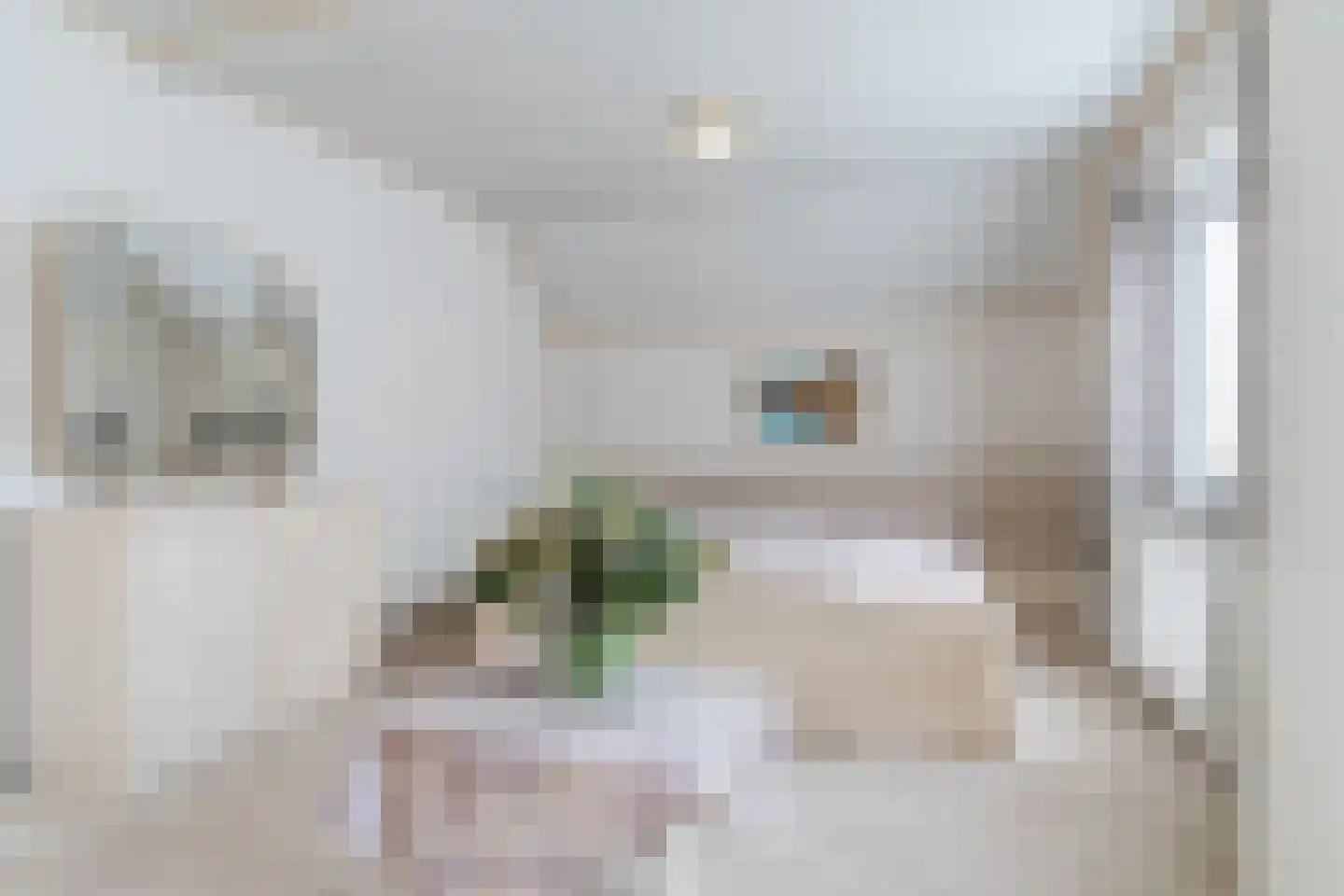 Achterstraat 21 Nistelrode thumbnail 28