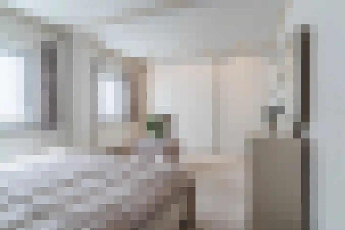 Achterstraat 21 Nistelrode thumbnail 29