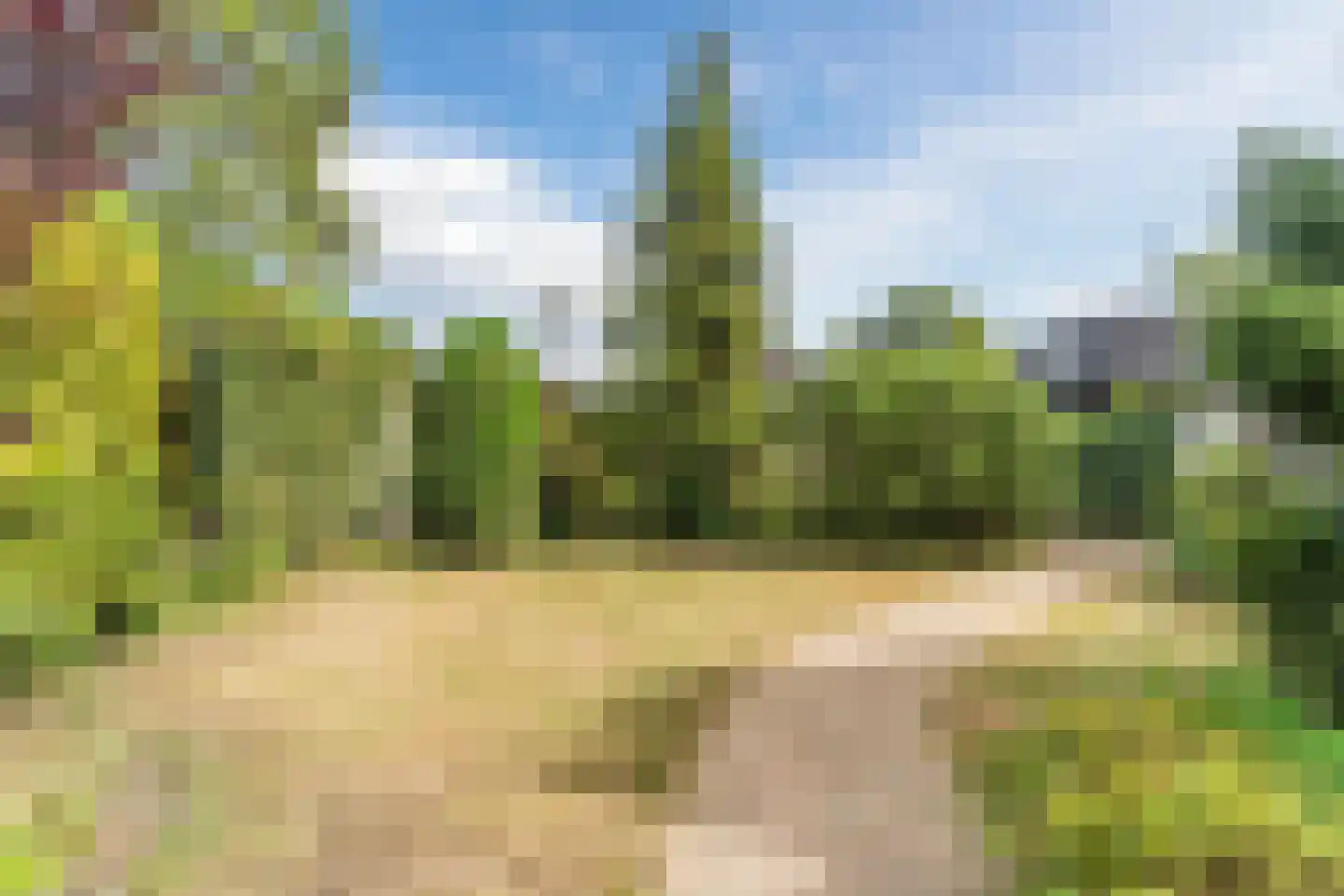 Achterstraat 21 Nistelrode thumbnail 39