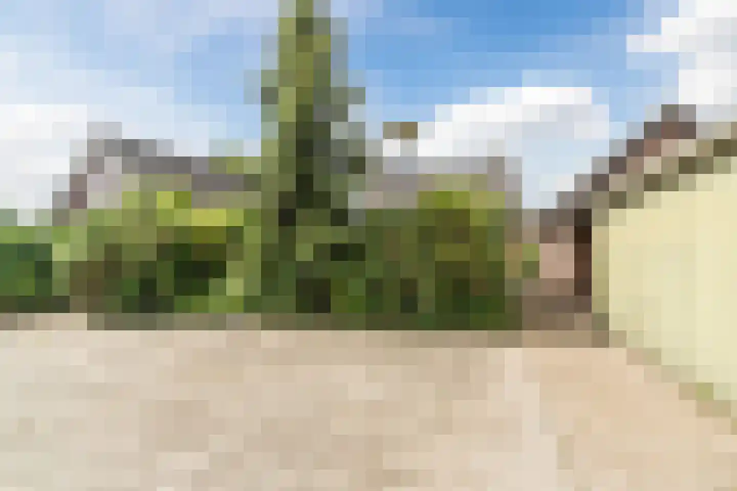 Achterstraat 21 Nistelrode thumbnail 51