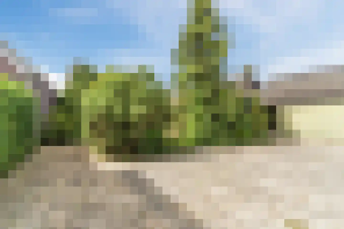 Achterstraat 21 Nistelrode thumbnail 52