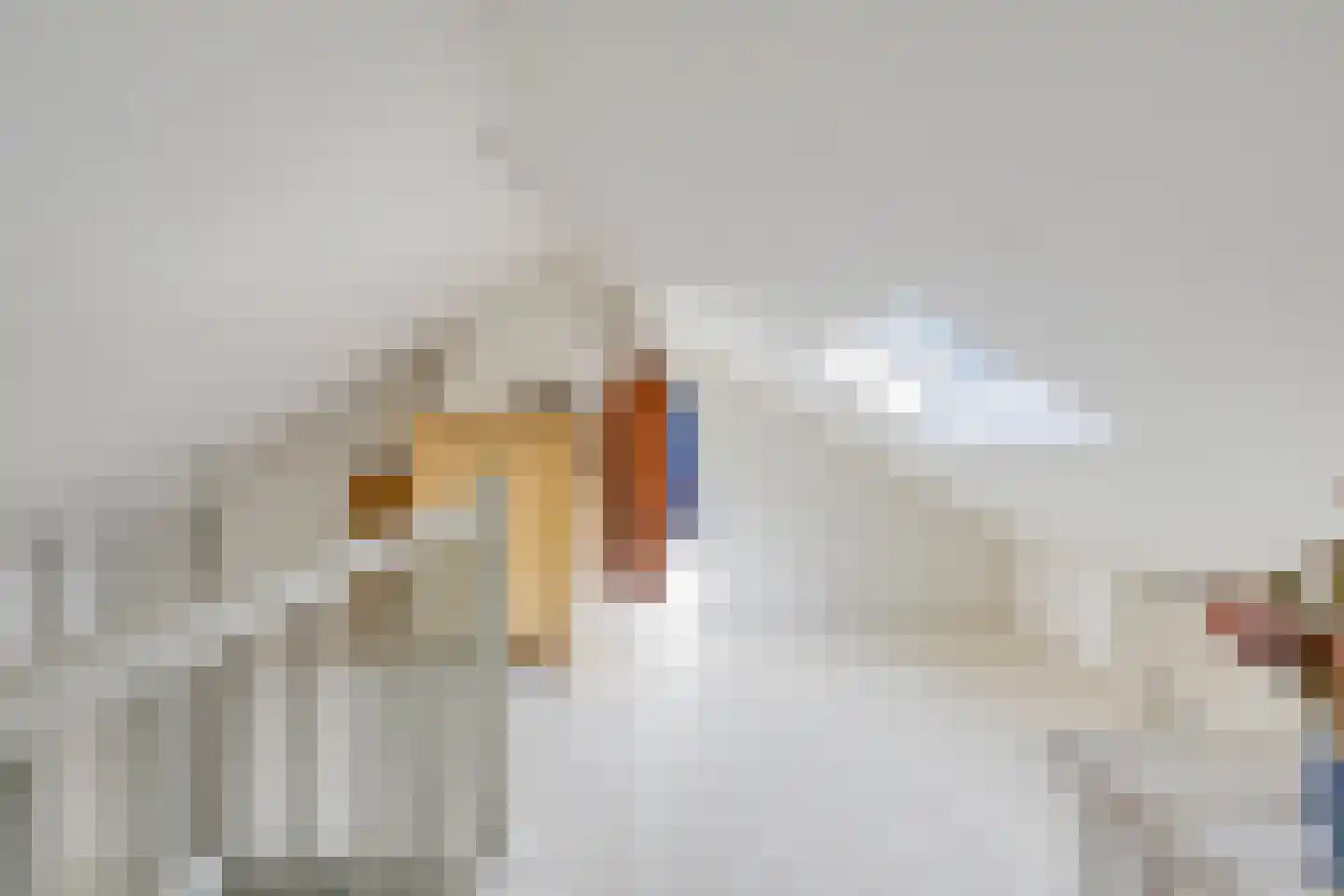 Achterstraat 22 Echteld thumbnail 21