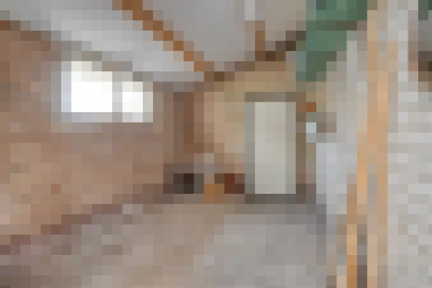 Achterstraat 22 Echteld thumbnail 25