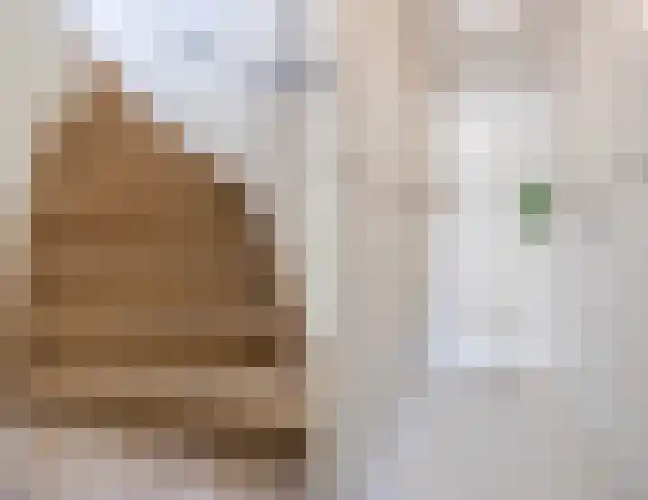 Achterstraat 23 Zaamslag thumbnail 18