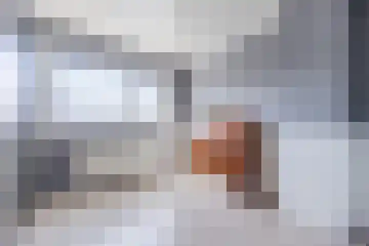 Achterstraat 23 Zaamslag thumbnail 22