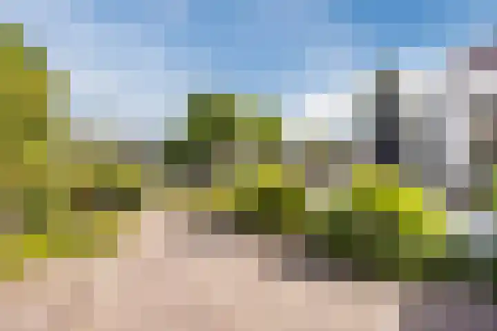 Achterstraat 23 Zaamslag thumbnail 31