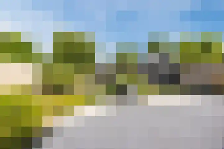 Achterstraat 23 Zaamslag thumbnail 33