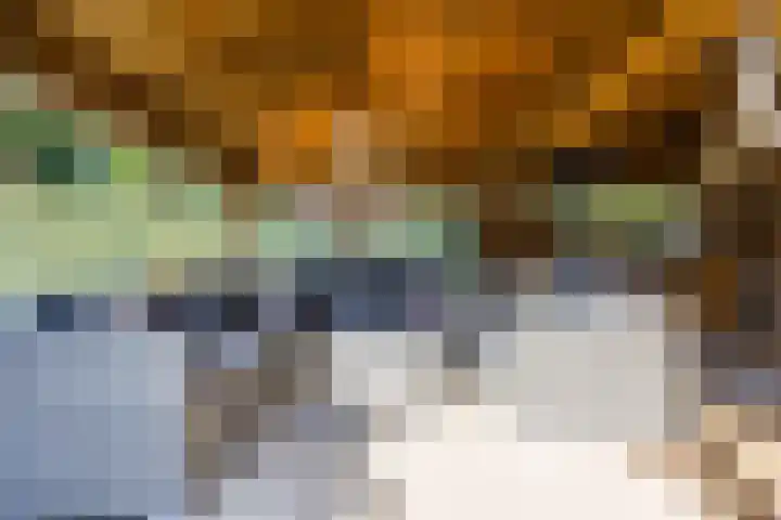 Achterstraat 23 Zaamslag thumbnail 37
