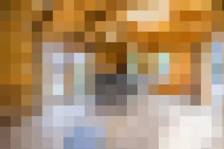 Achterstraat 23 Zaamslag thumbnail 38