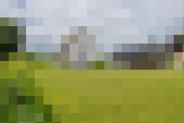 Achterstraat 24 b Varik thumbnail 10
