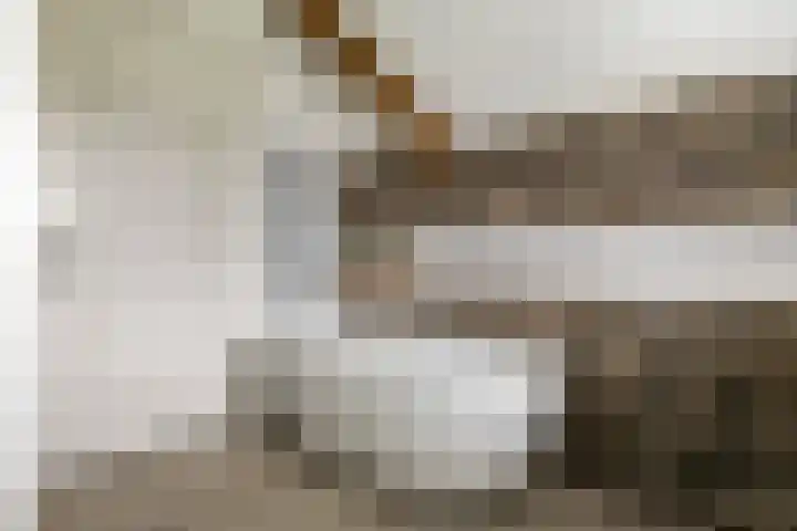 Achterstraat 24 b Varik thumbnail 102