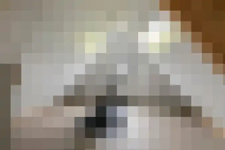 Achterstraat 24 b Varik thumbnail 108