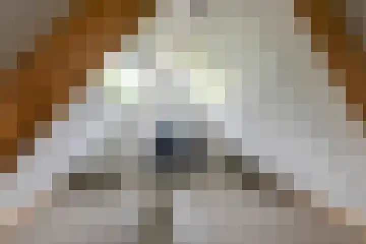 Achterstraat 24 b Varik thumbnail 109