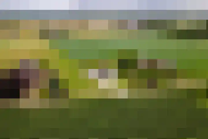 Achterstraat 24 b Varik thumbnail 113