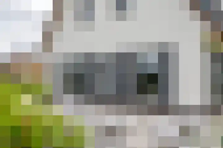 Achterstraat 24 b Varik thumbnail 13