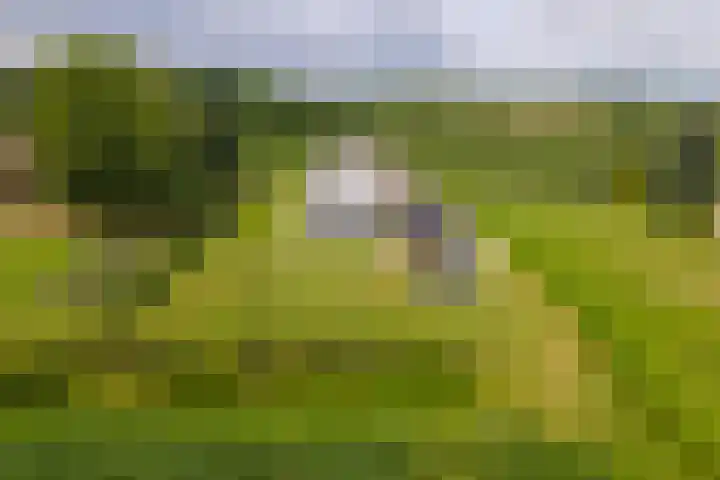 Achterstraat 24 b Varik thumbnail 16