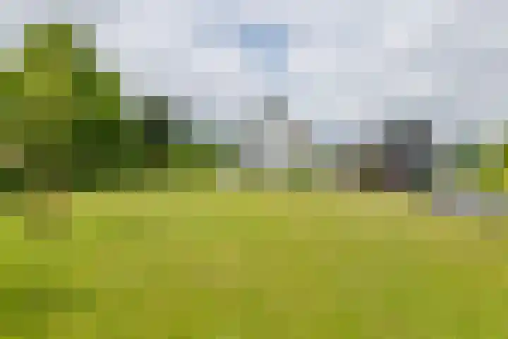 Achterstraat 24 b Varik thumbnail 17