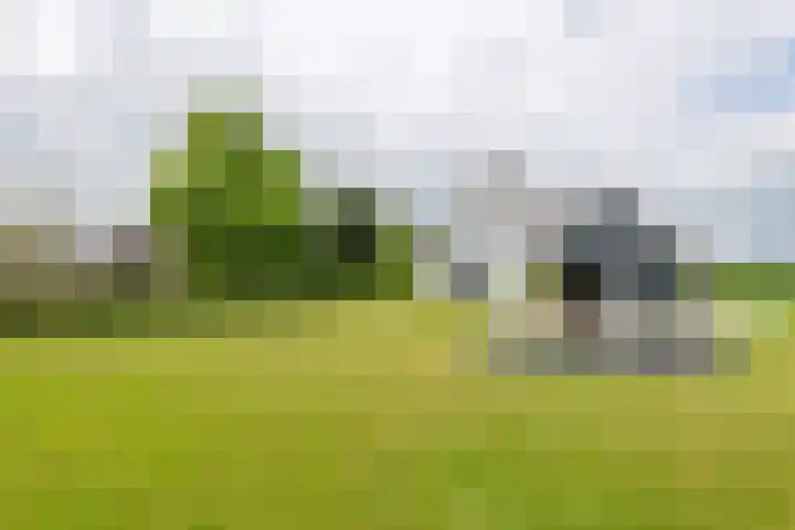 Achterstraat 24 b Varik thumbnail 18