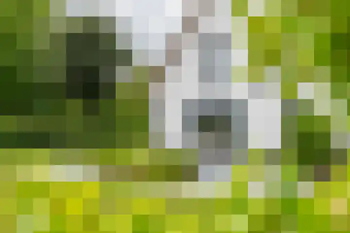 Achterstraat 24 b Varik thumbnail 20
