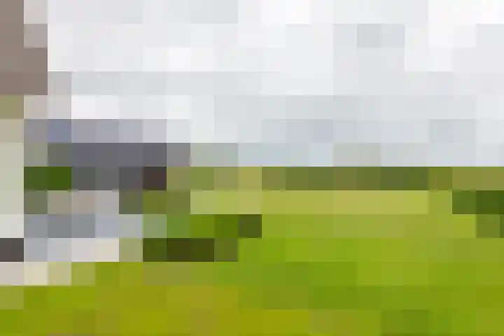 Achterstraat 24 b Varik thumbnail 22