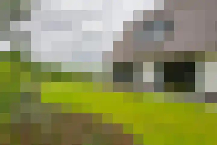 Achterstraat 24 b Varik thumbnail 23