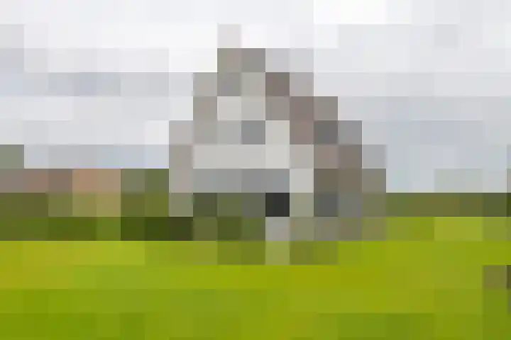 Achterstraat 24 b Varik thumbnail 25