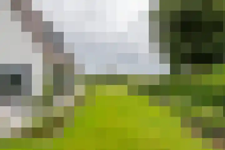 Achterstraat 24 b Varik thumbnail 26
