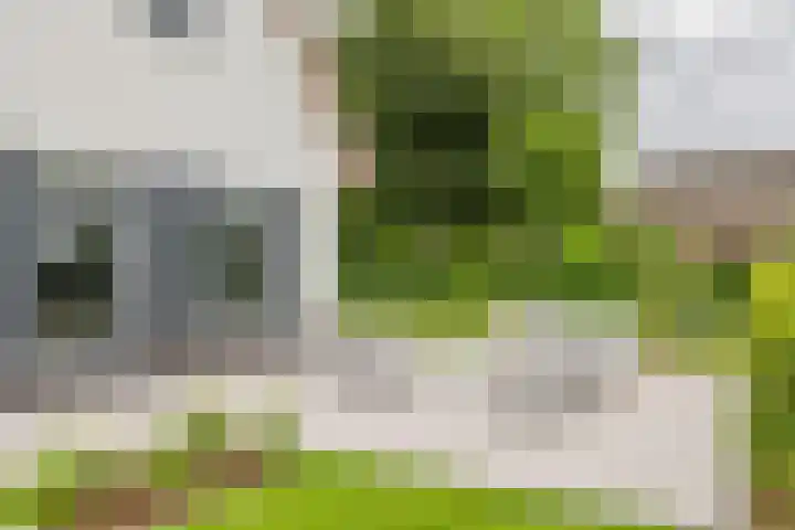 Achterstraat 24 b Varik thumbnail 27
