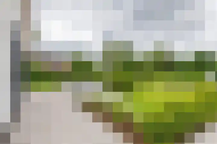 Achterstraat 24 b Varik thumbnail 28
